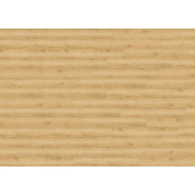 Designboden Zum Kleben 800 wood, Wheat Golden Oak wineo